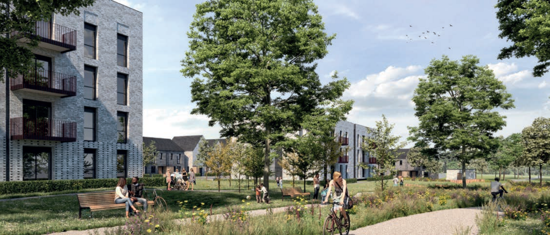 Artists impression of Druids Heath regeneration project.