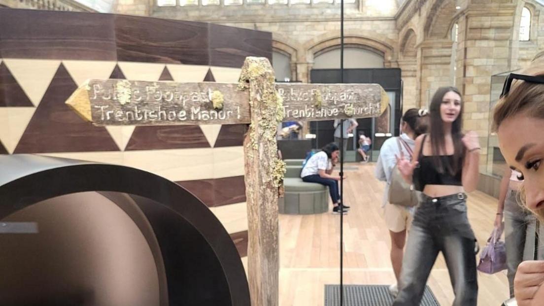 Another image of the signpost in the Natural History Museum, with young female visitors dressed in jeans and with sunglasses, clearly intrigued by its presence.