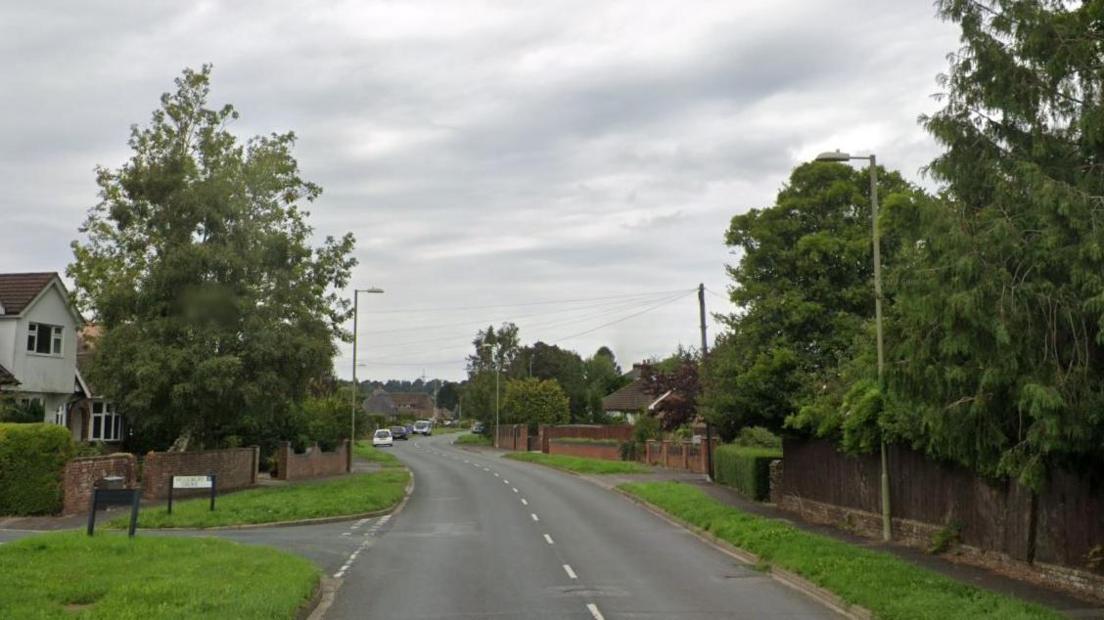 A road witha slight bend, flanked by grass verges, trees and domestic fences. There are cars in the distance.