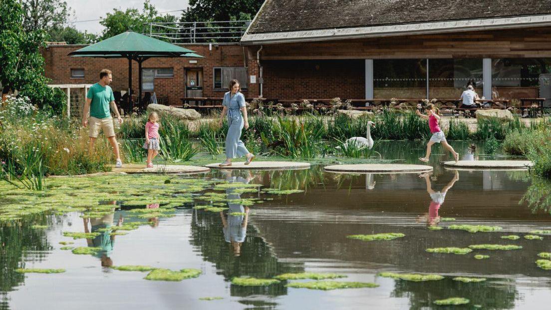 An image of the trust showing a lake with wooden "lily pads" connecting both sides. There is a man and a woman and two children walking across the lily pads. On the lake there is also a swan. Behind the lake, there are multiple benches and umbrella, with the restaurant behind.