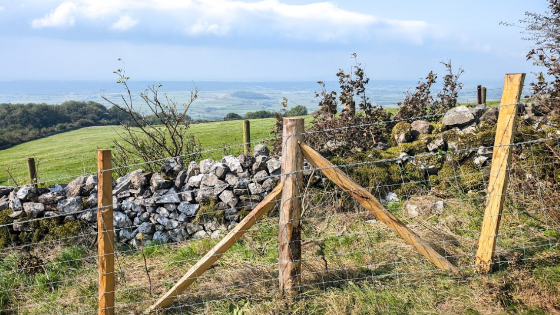 An image of the new fence, with three chestnut posts in view, held together by barbed wire. In the background is a beautiful visa of the Mendip hills.