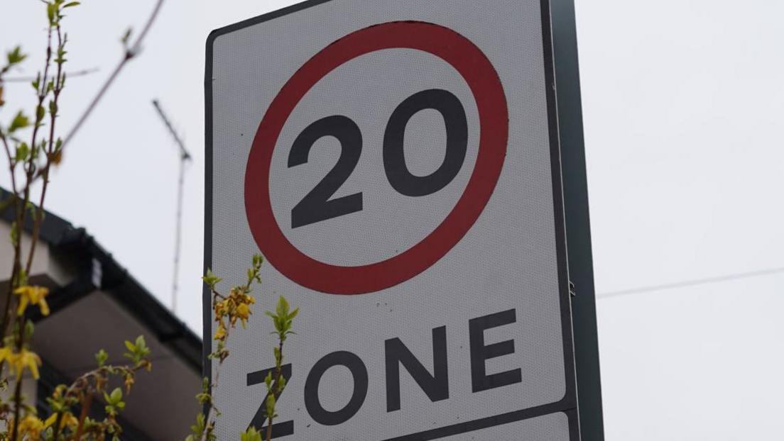 A '20 Zone' road sign. The 20 is in bold lettering encased by a red circle, with the word zone in bold capital letters. The sign is white and rectangular. There is a plant in front of it and a grey sky behind.