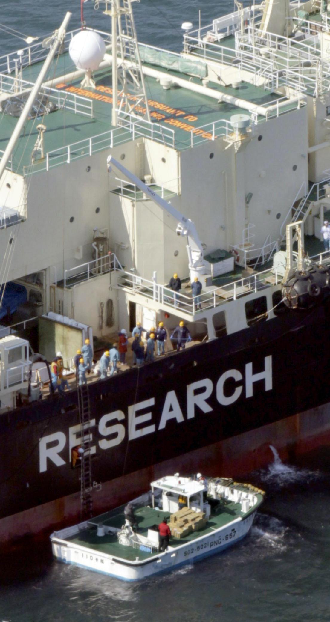 Japanese whaling research boat.