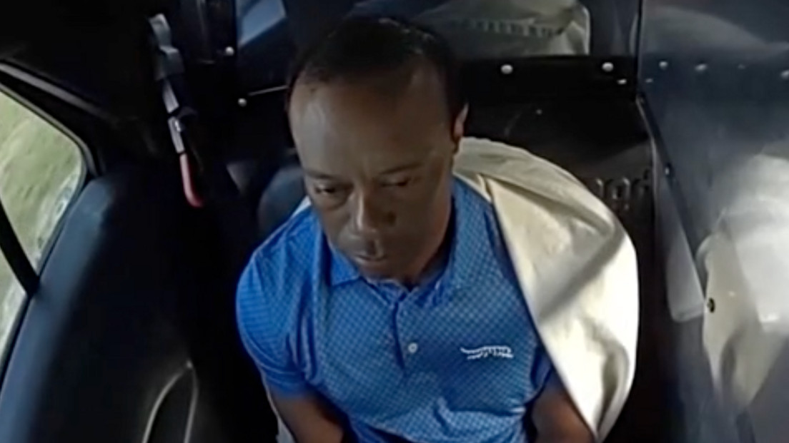 Tiger Woods sits in the back of a police car after being arrested 