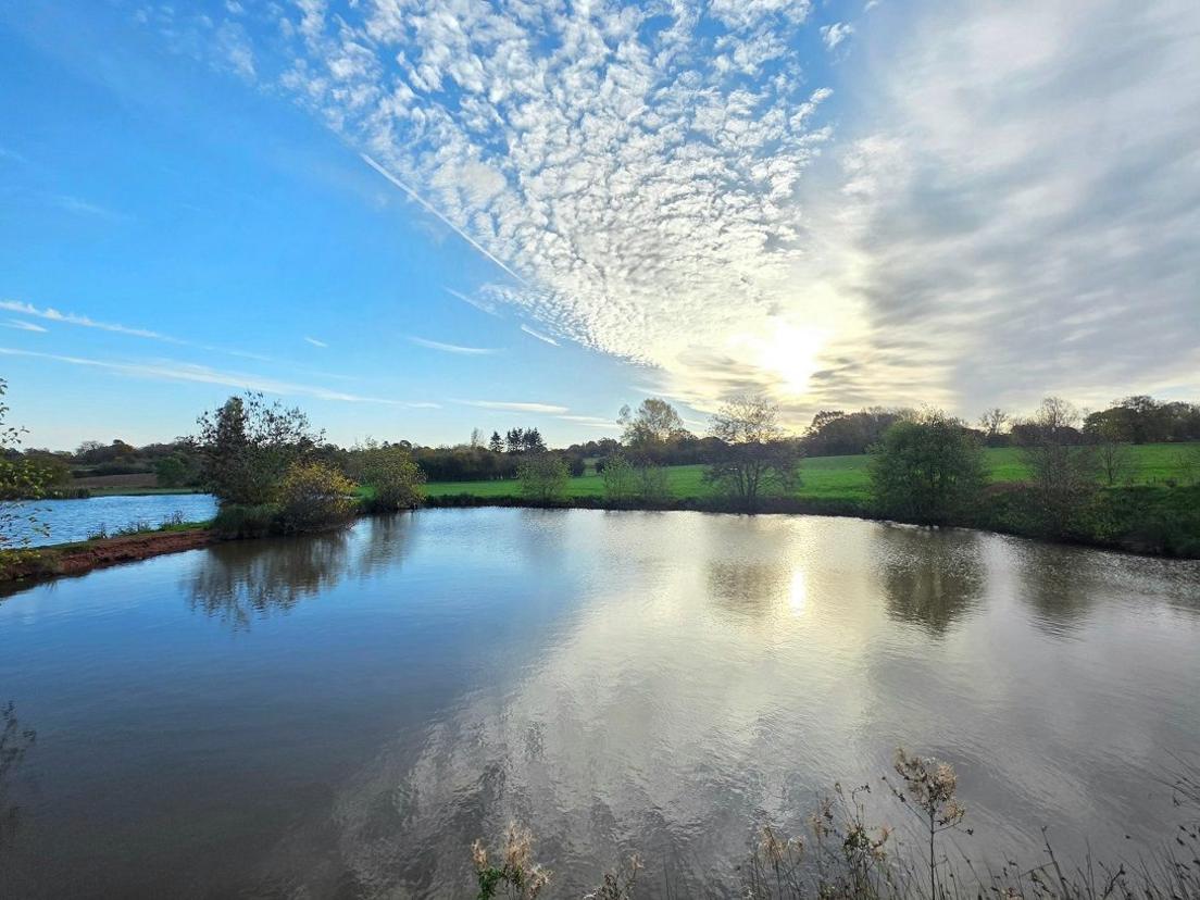 Clouds in a blue sky are reflected in a pool of water, surrounded by some trees.