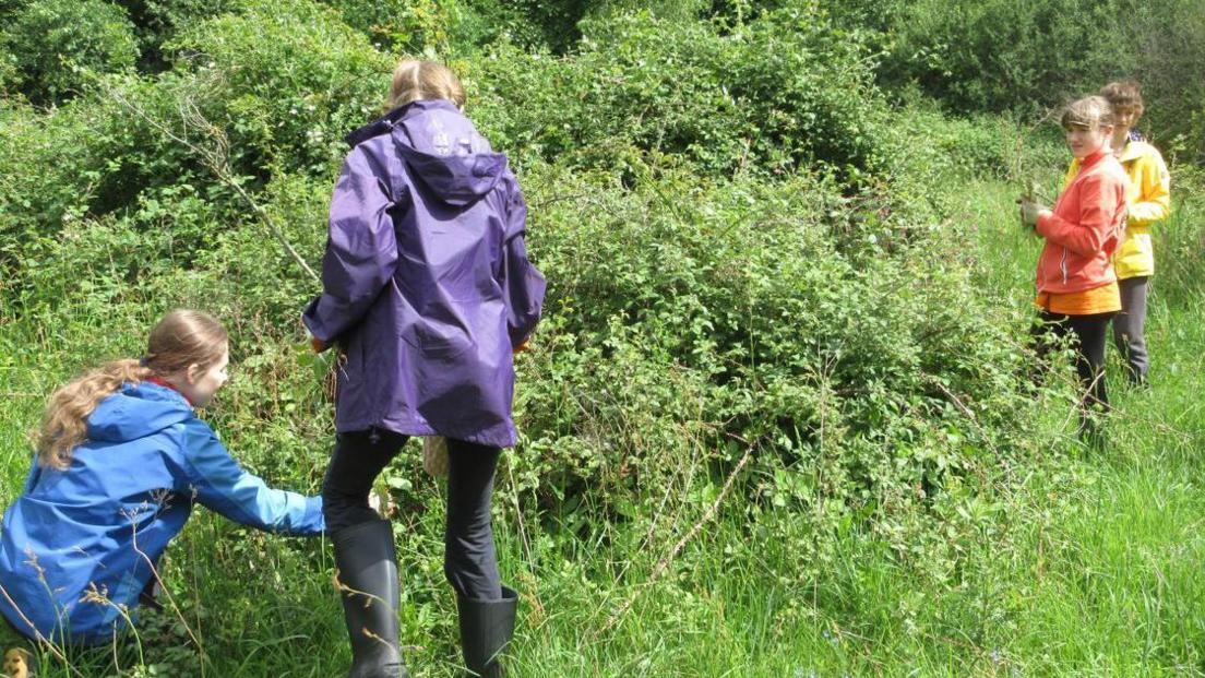 Three girls dressed in bright jackets are supervised by an adult in wellies and a purple coat as they look and inspect overgrowth in a field.