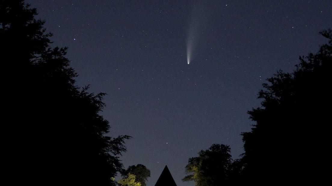 A bright white shooting star in a dark night sky. The picture is framed with trees.