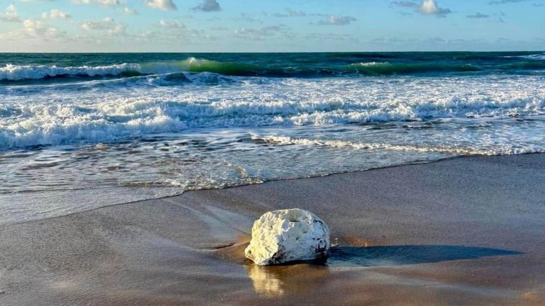 A large chunk of palm oil sits on the sand as the tide washes up. It is an off-white colour speckled with dark coloured bits. It is a sunny day and the sea looks green.