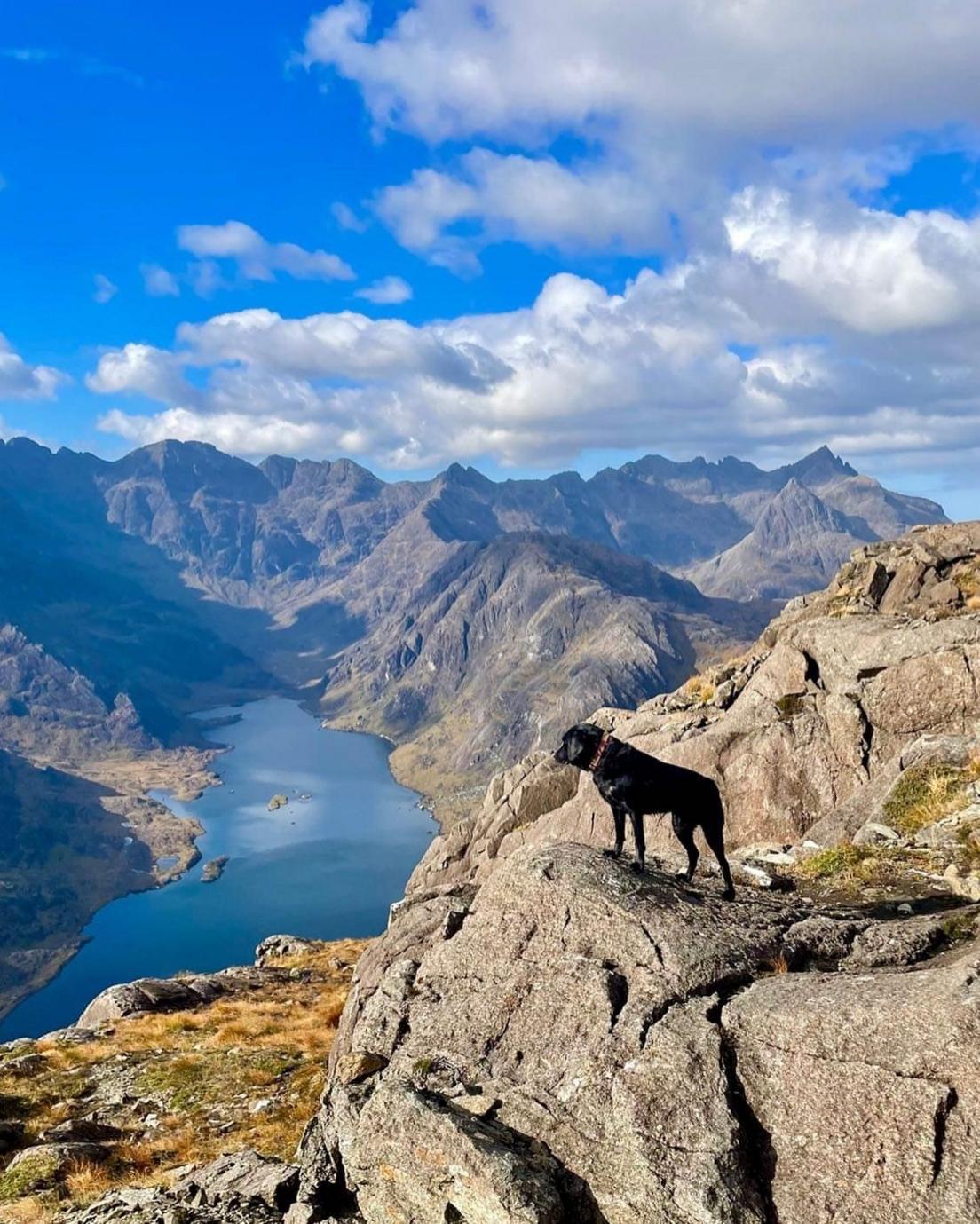 A black dog standing high up on rocks that overlook mountains and a blue loch. The sun is shining  and the sky is blue. 