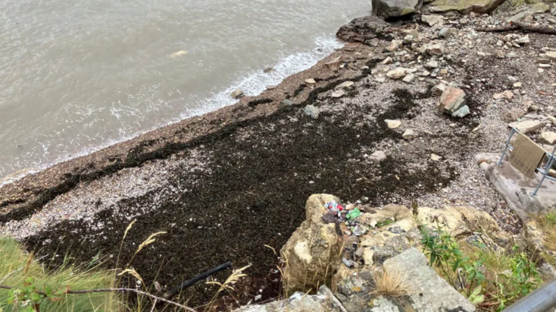 A bird's eye view of the beach with the landslip visible