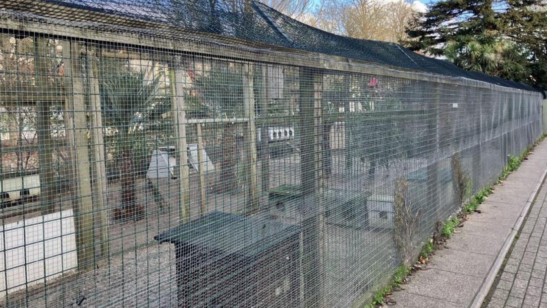 A general view of the aviary. It shows a large wire fence. Not much is visible behind it.