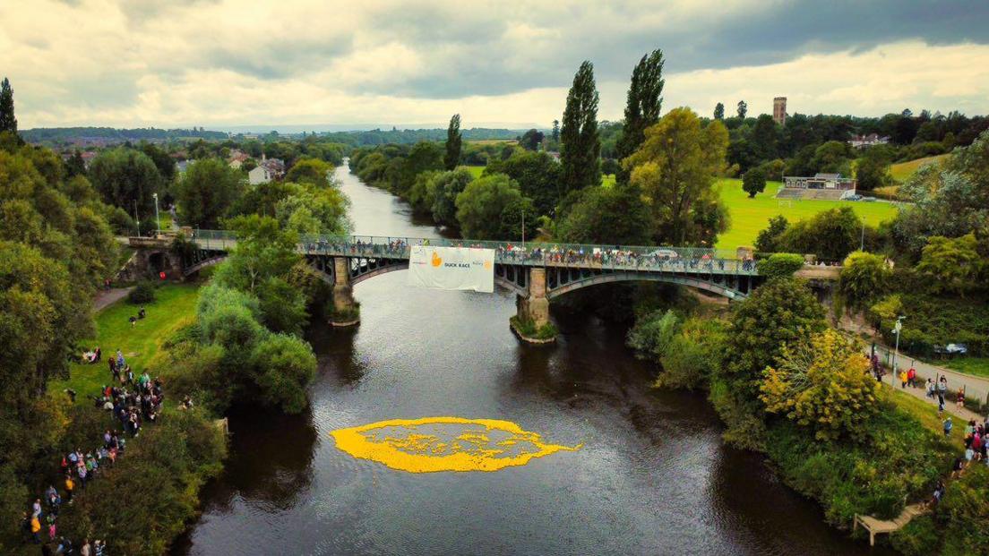 An aerial view of a river with thousands of yellow rubber ducks in, which appear as yellow dots on the river due to the height. The river is surrounded by trees and grass, with a view of Hereford visible in the background