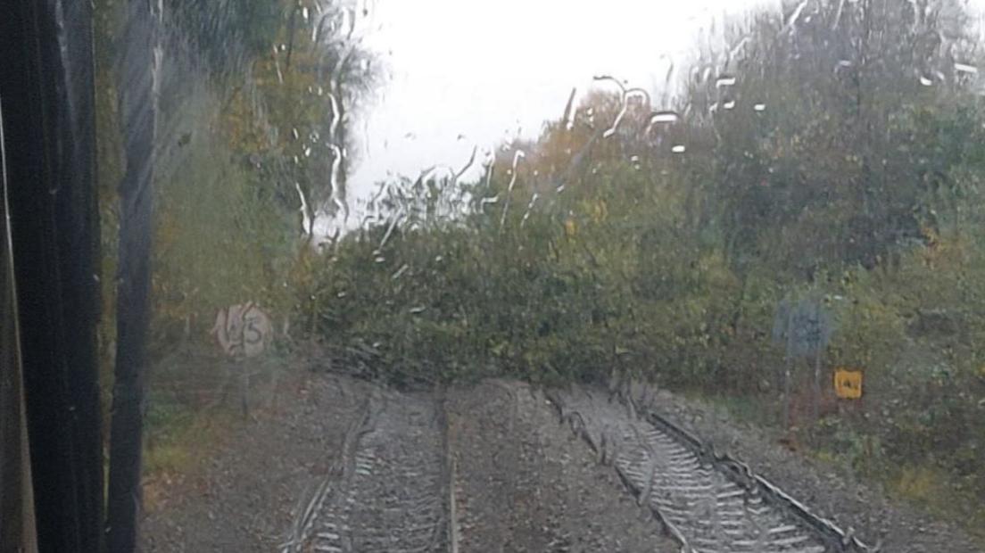 Looking through the very wet window of a railway cab. Two sets of rail lines can be seen with the greenery from fallen trees blocking them both