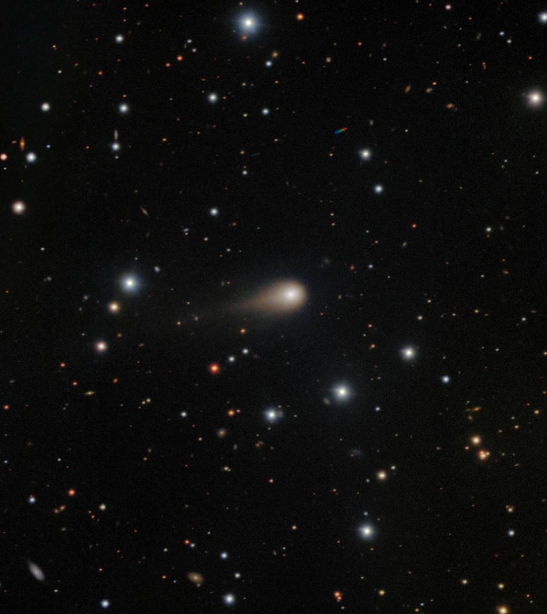 An image of the comet in space surrounded by stars. 