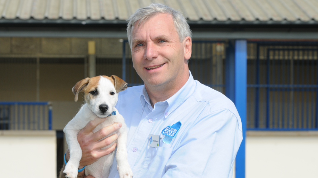 Neil Edwards holding a puppy which has white fur and brown ears as Mr Edwards smiles at the camera. He is wearing a blue shirt with the logo for the Blue Cross charity on it and stands in front of a building with blue posts and a grey roof