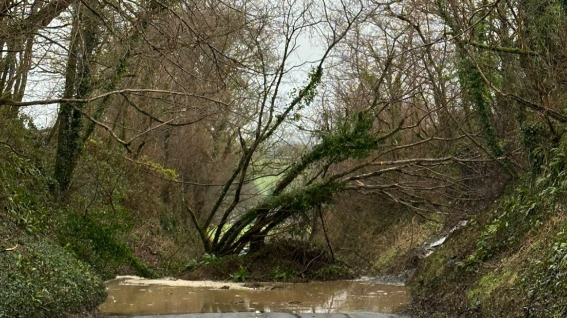 A landslide including vegetation blocks a road.