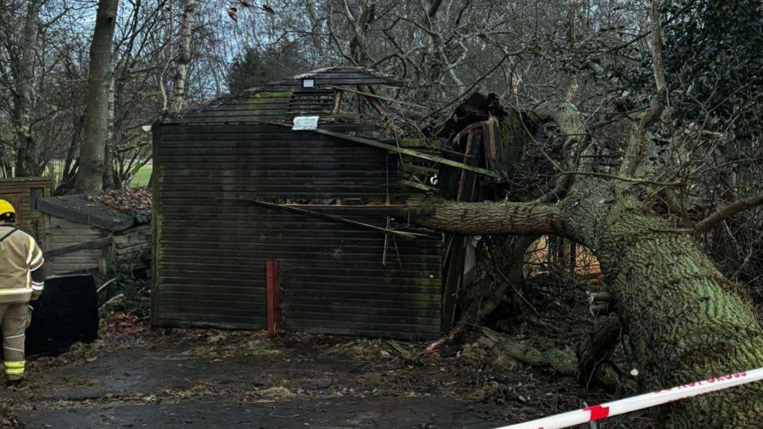 Horse stables crushed by fallen tree