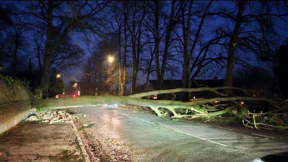 It is dark and a large fallen tree lies across a road, with a hole in an old brick wall on the left, where the tree has crashed through it, and broken bricks beneath it. A car with headlights lit has stopped and can be seen behind the tree on the opposite of the road.