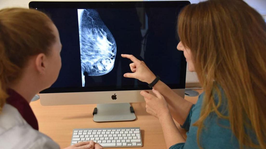 Two medical professionals sit in front of a computer screen looking at a mammogram x-ray image. 