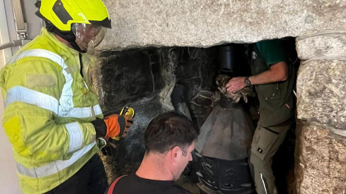 Firefighters helping rescue an owl from a chimney