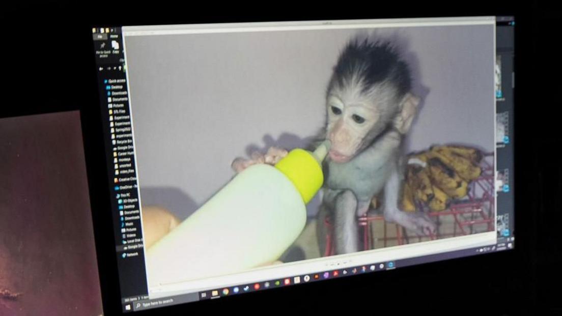 A computer monitor in a dark room, showing a picture of a baby monkey holding a milk bottle.