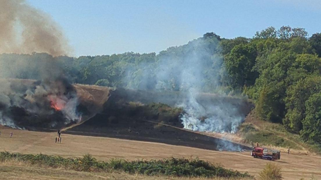 A large grassy hill on the Stoke Park Estate in Bristol. The grass is brown and dry, but the trees behind are green and lush. There is a fire engine parked on the right, and big plumes of smoke rising above. Orange flames are visible through the smoke on the left. Bystanders watch as firefighters tackle the blaze.
