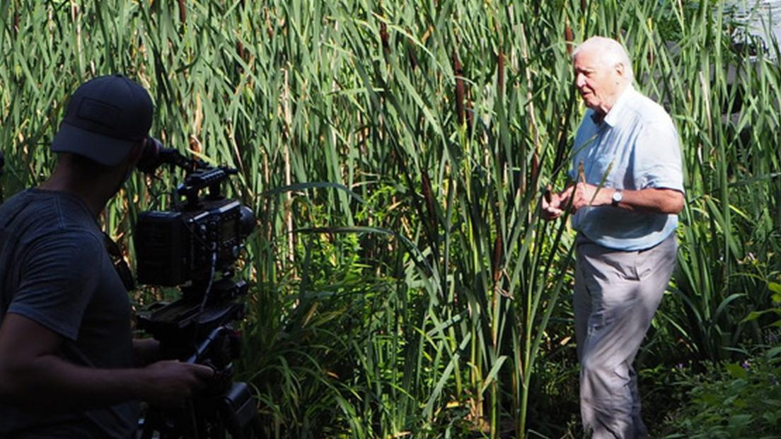 Sir David Attenborough at Cambridge University Botanic Garden