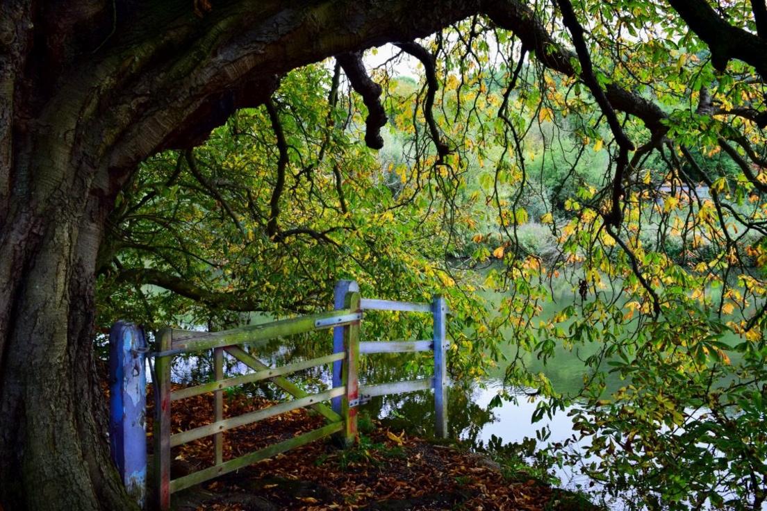 The Thames Path between Goring and Henley-on-Thames