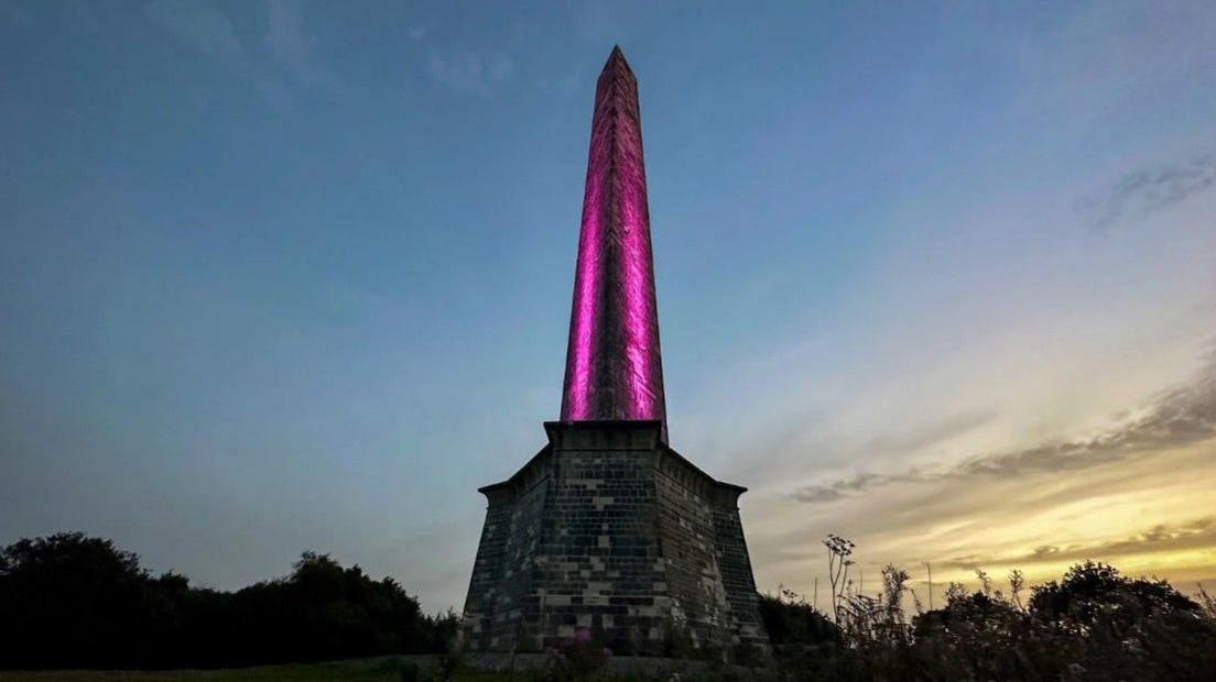 The obelisk of Wellington Monument lit up pink