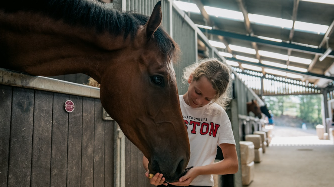 A horse is looking over its stable door and a young girl about 10 years old is holding his nose and feeding him a carrot, looking very tenderly at him