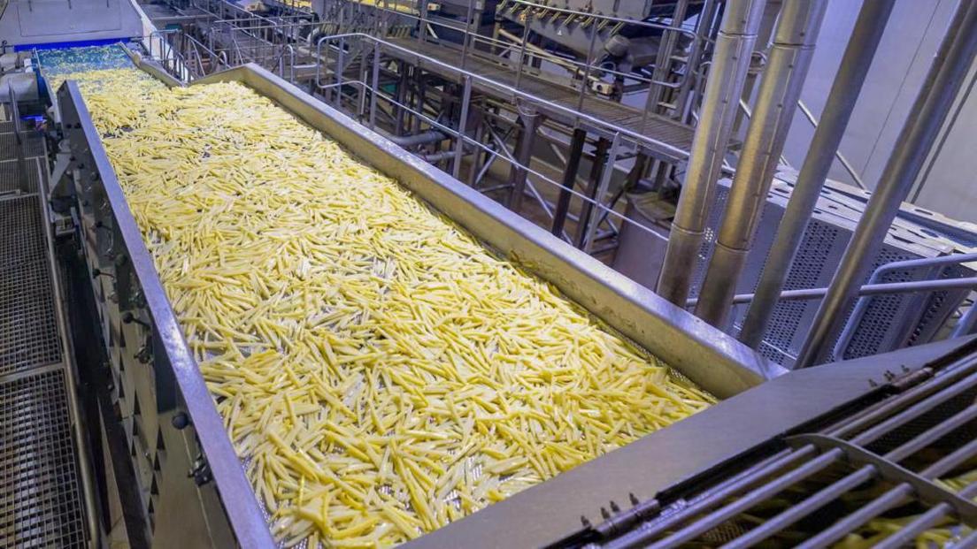French fries rolling down a production line