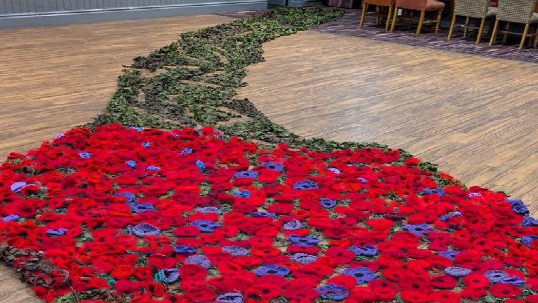 The cascade of poppies viewed from a floor level
