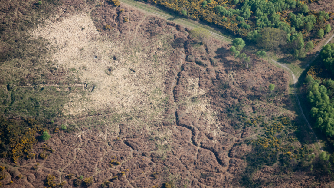 Aerial view of trenches in heathland