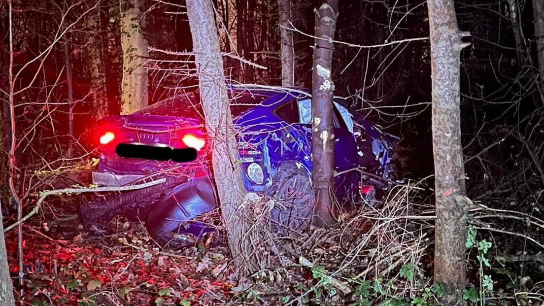 Car wreck in trees