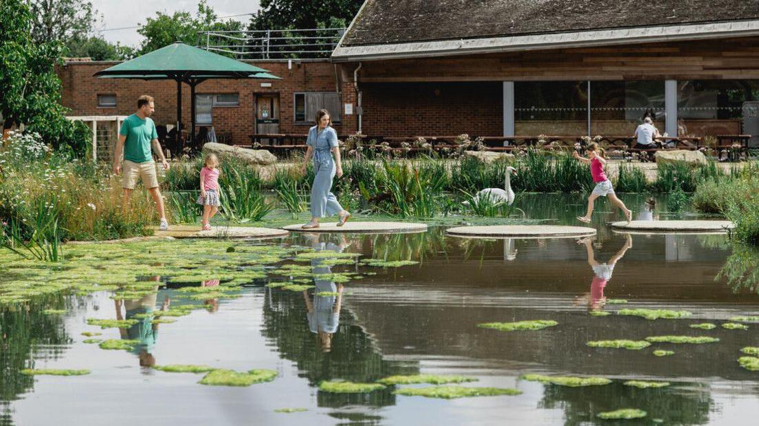 An image of the trust showing a lake with wooden "lily pads" connecting both sides. There is a man and a woman and two children walking across the lily pads. On the lake there is also a swan. Behind the lake, there are multiple benches and umbrella, with the restaurant behind.