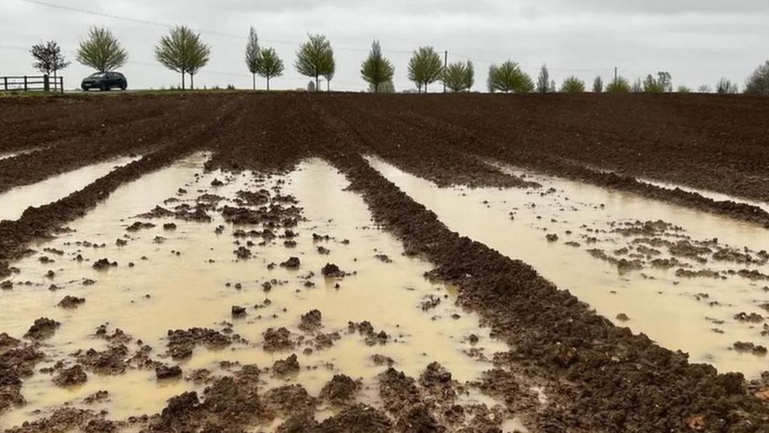 A wet and muddy flooded field with water in puddles