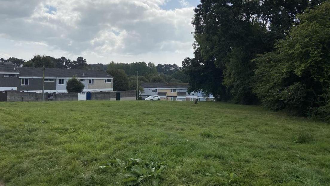 The green space at Wilmot Gardens pictured. The photograph shows an area of green land with large trees to the right. Terrace housing can be seen at the bottom of the field and to the left of it.