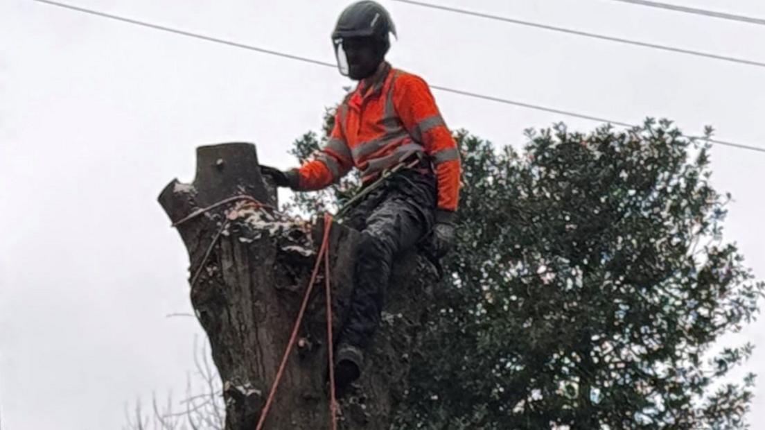 A man in a high vis jacket is sat on top of a tree that has been trimmed down