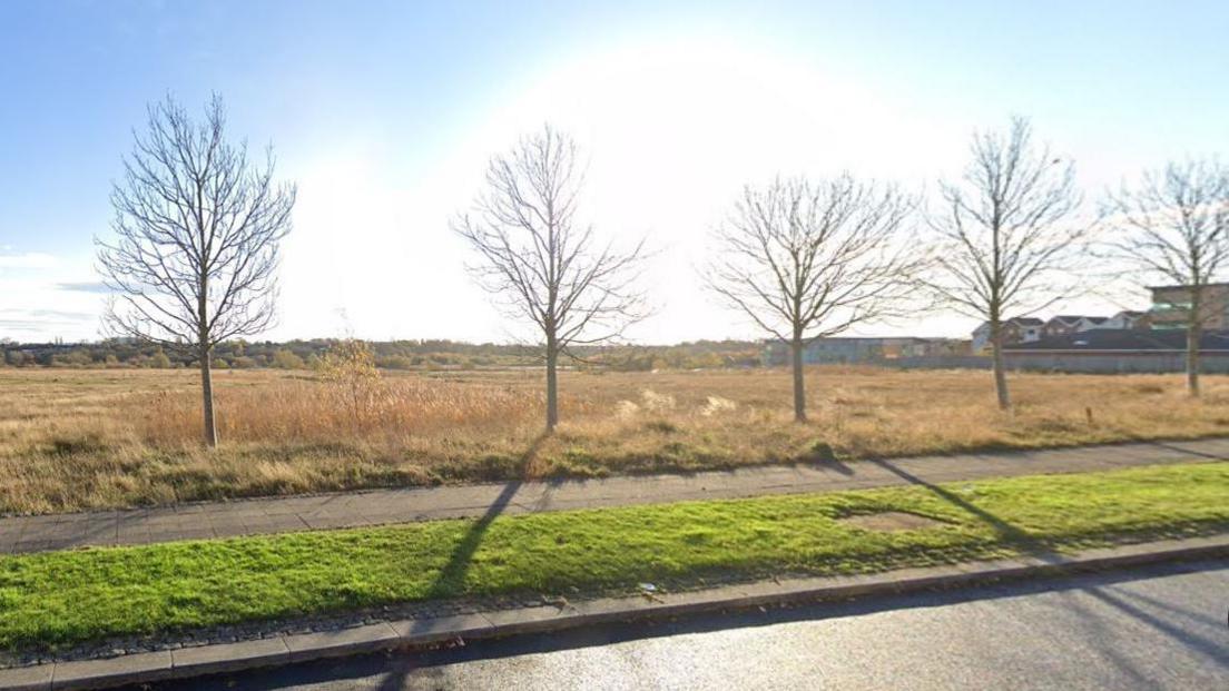 The land off Cygnet Drive. There is grass and a narrow path, with shrubs, trees and buildings in the distance.