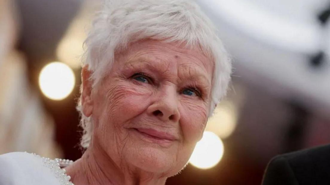 Dame Judi Dench seen looking away from the camera