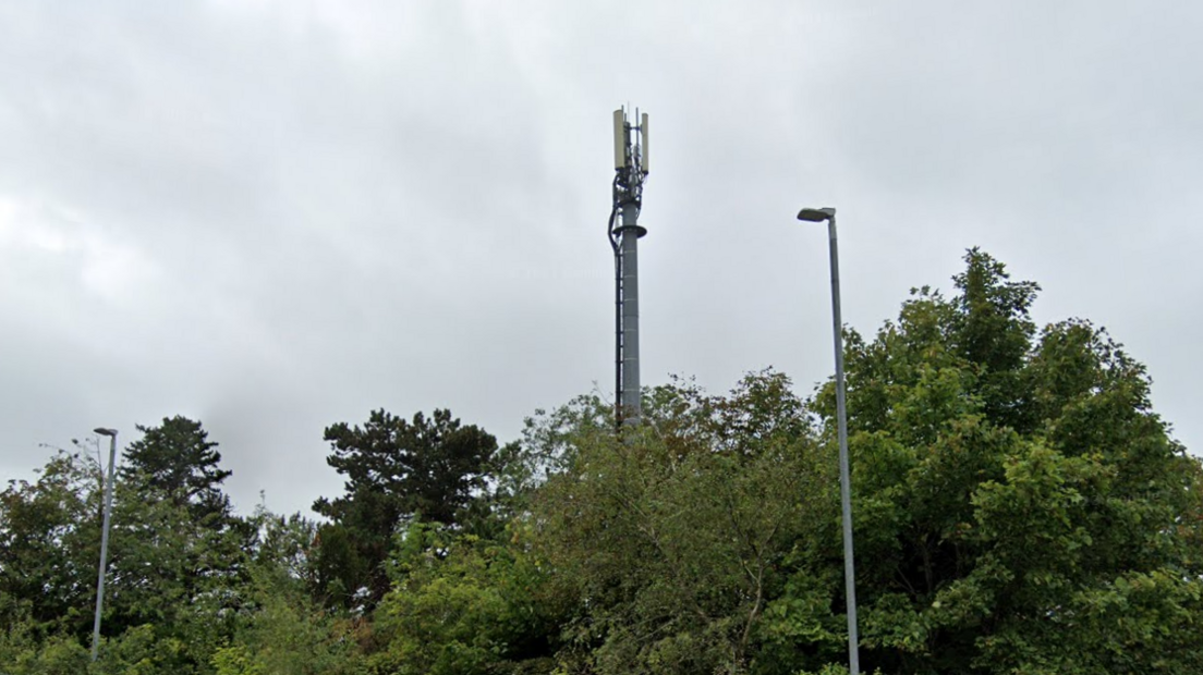 A mast poking through trees at the site in 2023