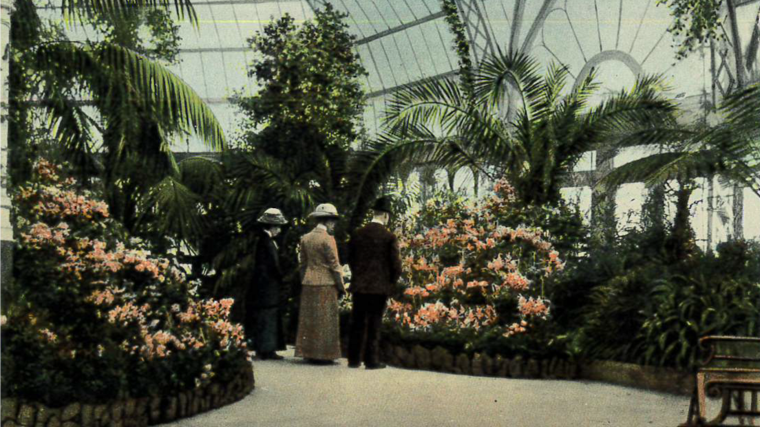 The postcard shows two women and a man in Edwardian dress looking at flowering plants in the palm house. The two women wear long dresses and hats and the man is wearing a suit and a hat.