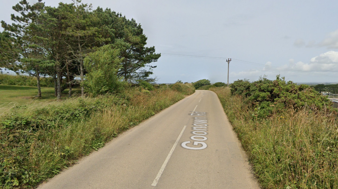 A street view from Google Maps of Goonown Road. This is the stretch of road where the crash is reported to have taken place. Grassland and trees are either side of the short stretch of road.