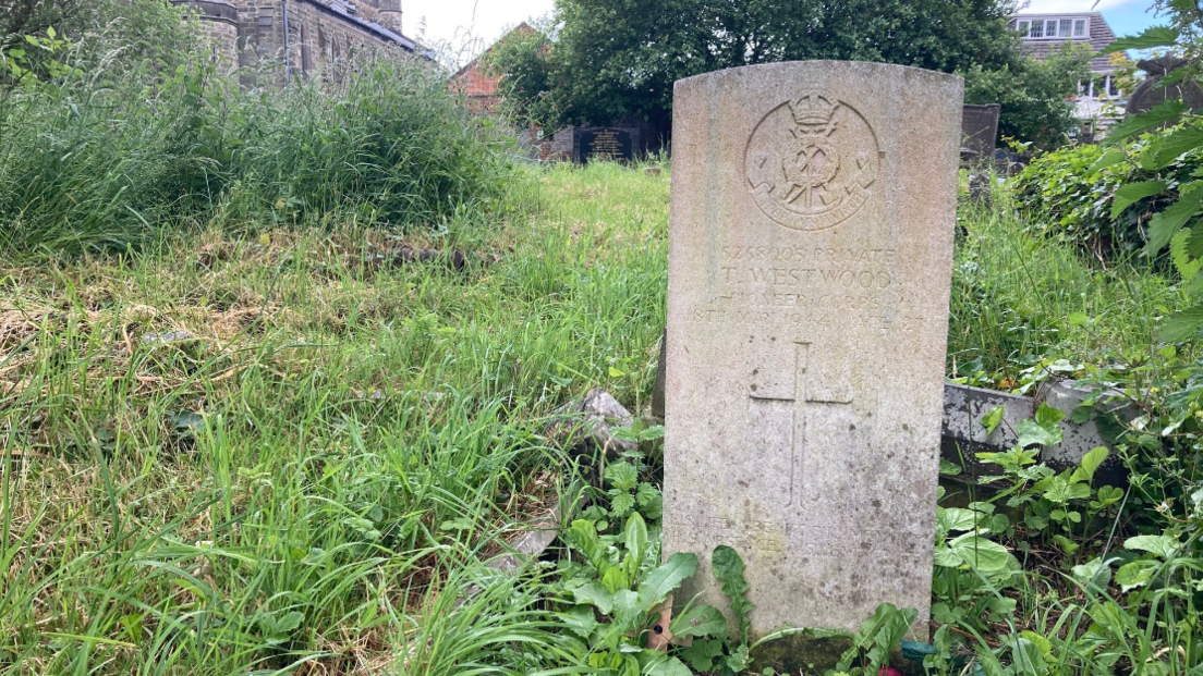 An overgrown grave