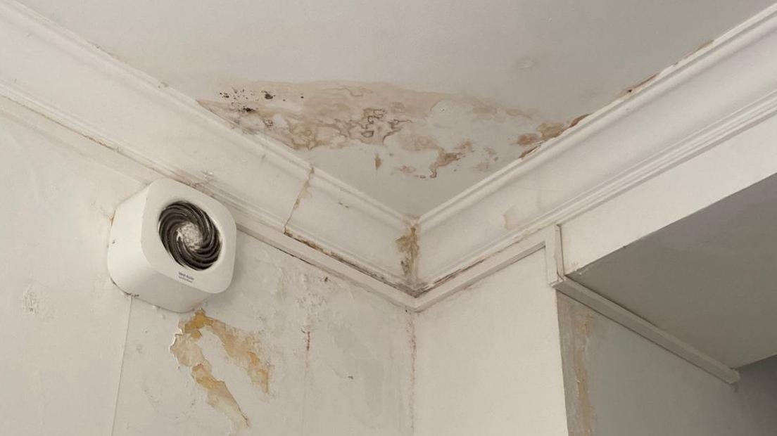 White corner of ceiling with black mould on