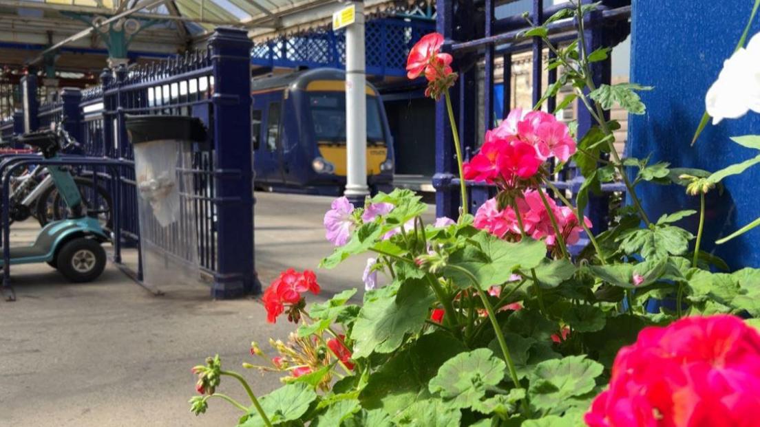 Pink flowers and green leaves in the foreground with a platform and train in the background at Bridlington station