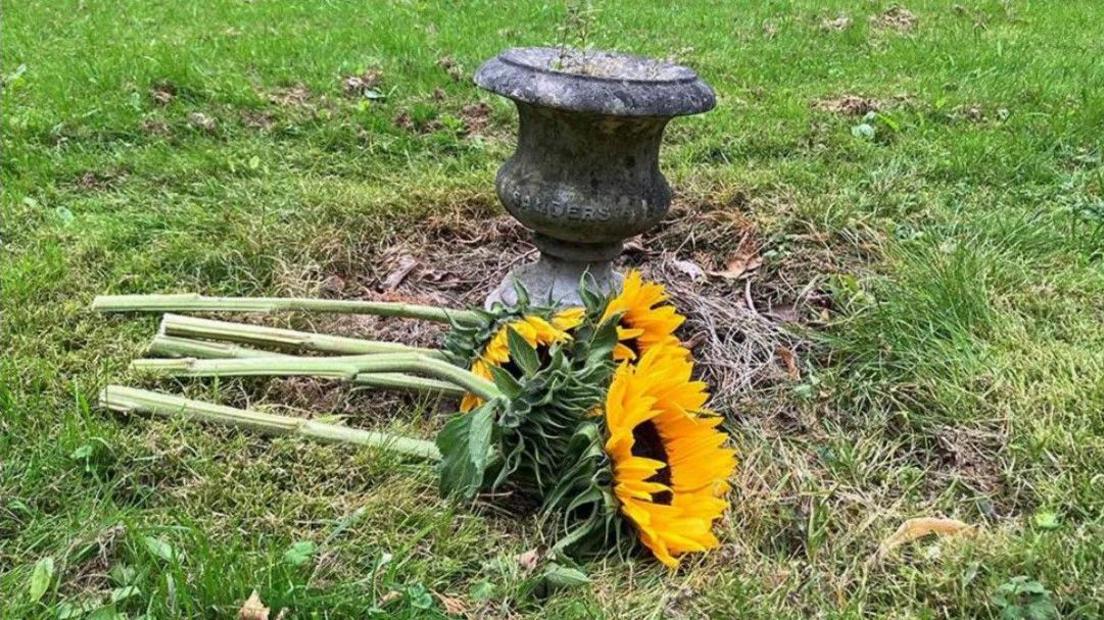 Sunflowers on a grass area with a stone ornament in Royton Cemetery.