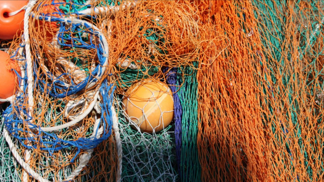 fishing net