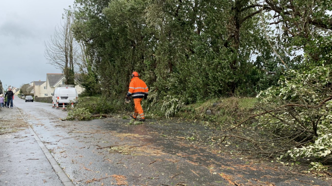 Tree surgery work after Storm Ciarán