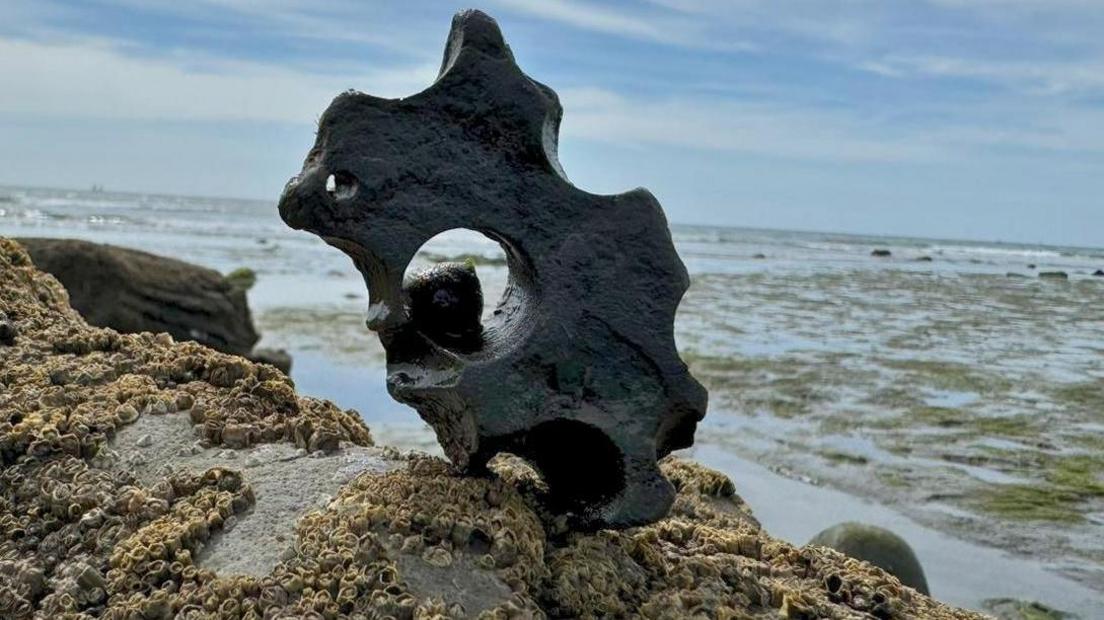 A low tide has revealed a colony of barnacles covering rocks. In the centre of the shot is a stone shape with a hole in the middle in which sits a mollusc hiding waiting for the tide to return. Behind the rocks is the wet sand covered by seaweed with the sea in the far distance with a hint of a breaking wave.